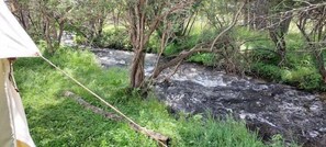 Miscellaneous - Wildwood Wall Tent, Wildwood Wall Tent by the Stream (Story)