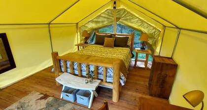 Wildwood Wall Tent, Wildwood Wall Tent by the Stream