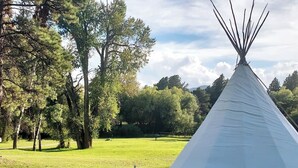 Ett vitt tipi-tält på en gräsklädd äng med träd i bakgrunden.