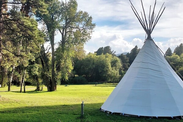 Una tienda de campaña blanca en un campo con árboles al fondo.