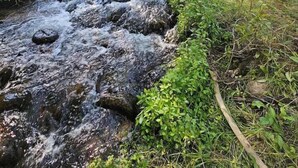 Un petit ruisseau limpide serpente à travers un parc, avec des arbres et une table de pique-nique en arrière-plan.