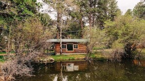Une cabane en rondins entourée d’arbres, au bord d’un plan d’eau.