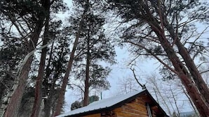 A log cabin surrounded by tall trees and covered in snow. - Hideout Cabin, Rustic Hideout Cabin (Story)