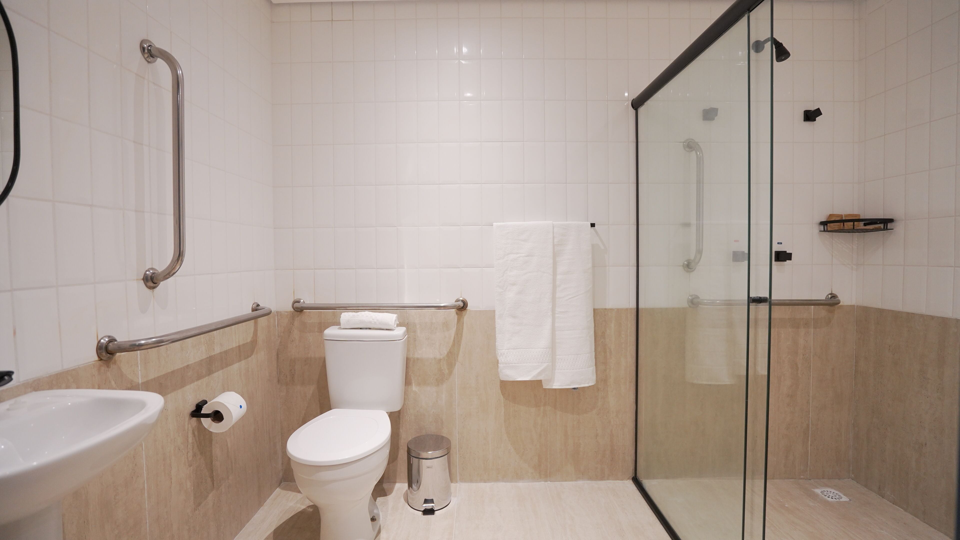 A modern bathroom with a glass shower enclosure, a toilet, a sink, and a handrail.