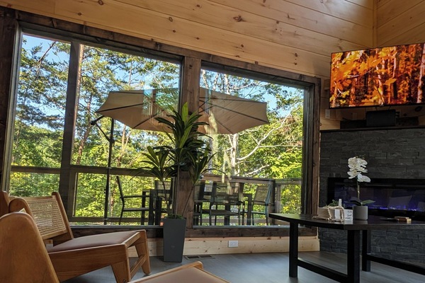 Smart TV, chimenea, libros y estéreo