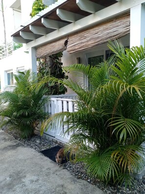 Property grounds - Tropical Retreat in Sosua Paradise (Sosúa)