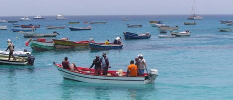 Departamento | Imagen general