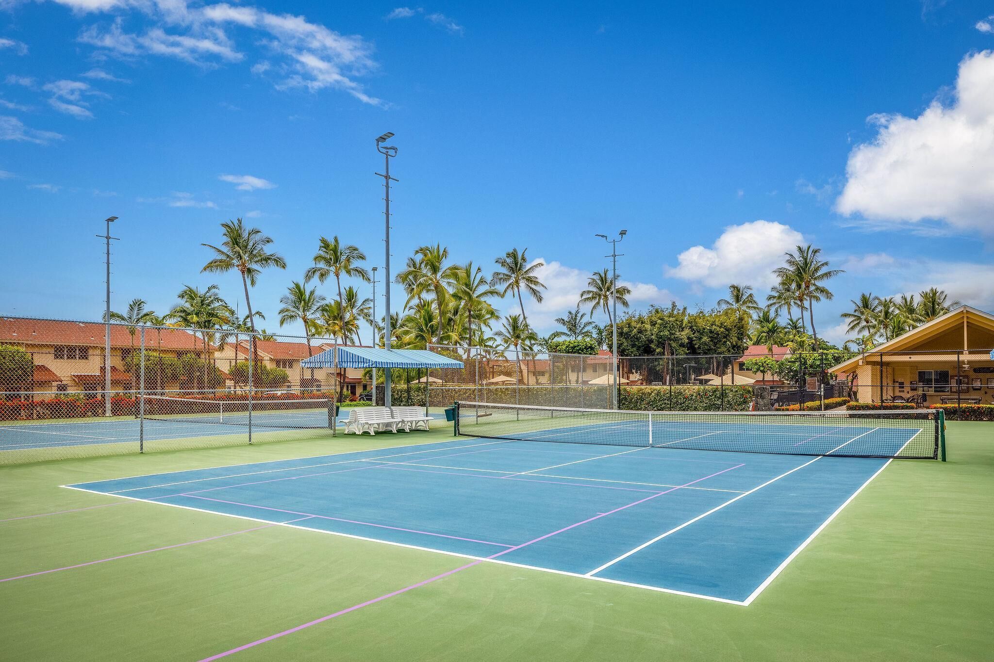 Un court de tennis avec un filet, entouré de palmiers et d’immeubles.