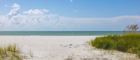 On the beach