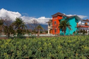 A building with a red and blue facade, surrounded by greenery and palm trees.