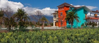 Forest Bed and Breakfast