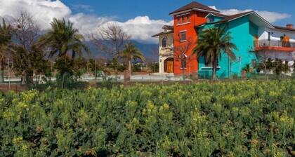 Forest Bed and Breakfast