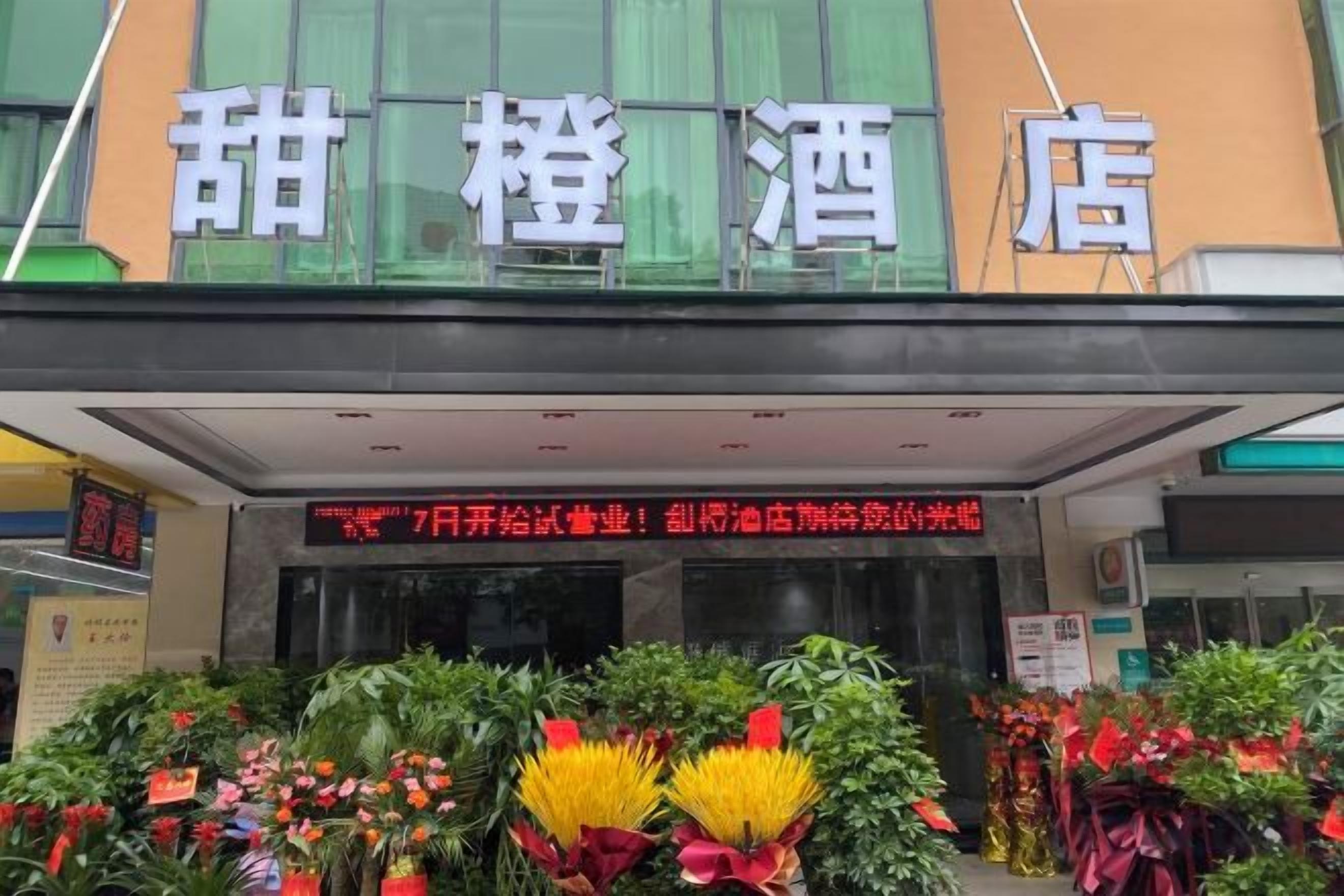 A hotel entrance with a signboard and a variety of plants in front.