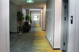A long, narrow hallway with a yellow carpet, a trash bin, and a potted plant on the left.