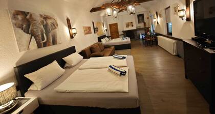 Pension Riverside am Rhein