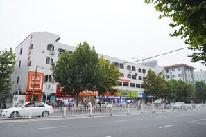 Vista de la calle con edificios, aceras arboladas y un paso de peatones.
