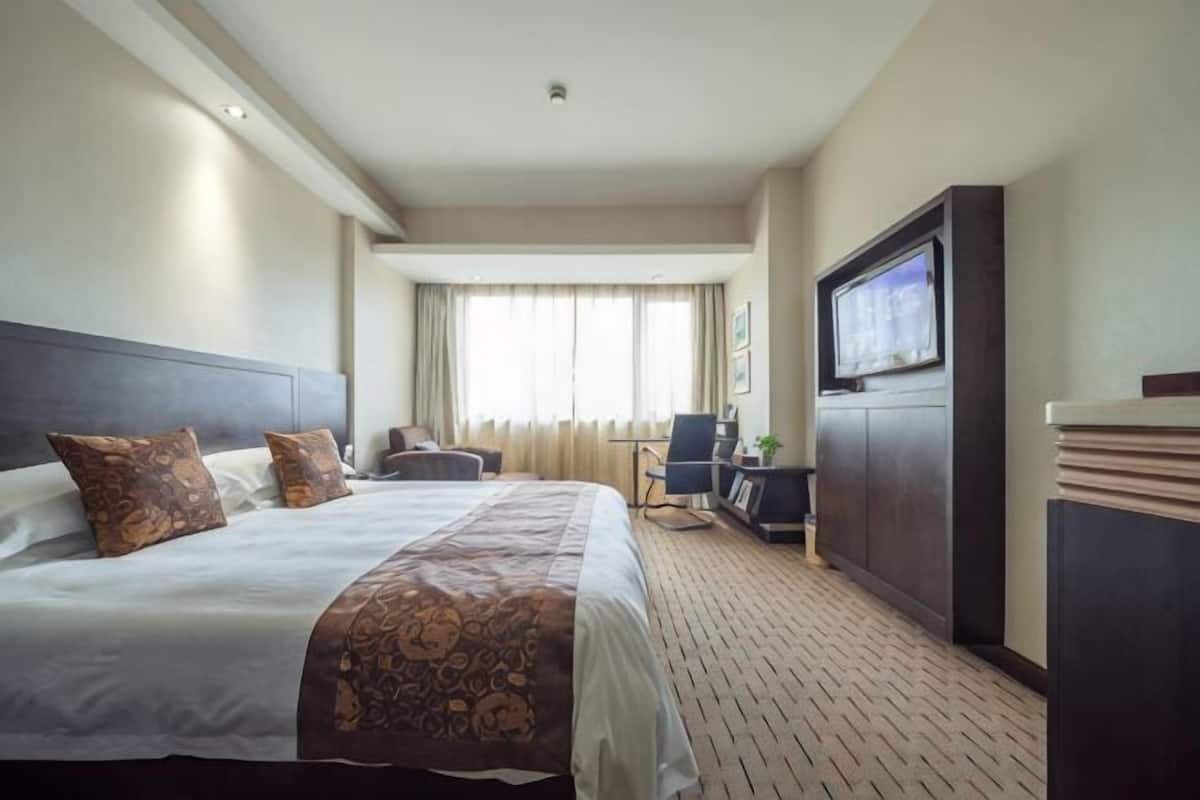Una habitación de hotel con una cama grande, televisión, escritorio y una silla.