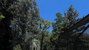 شرفة/رواق