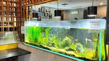 A reception area with a large aquarium, wooden shelving, and a black reception desk.