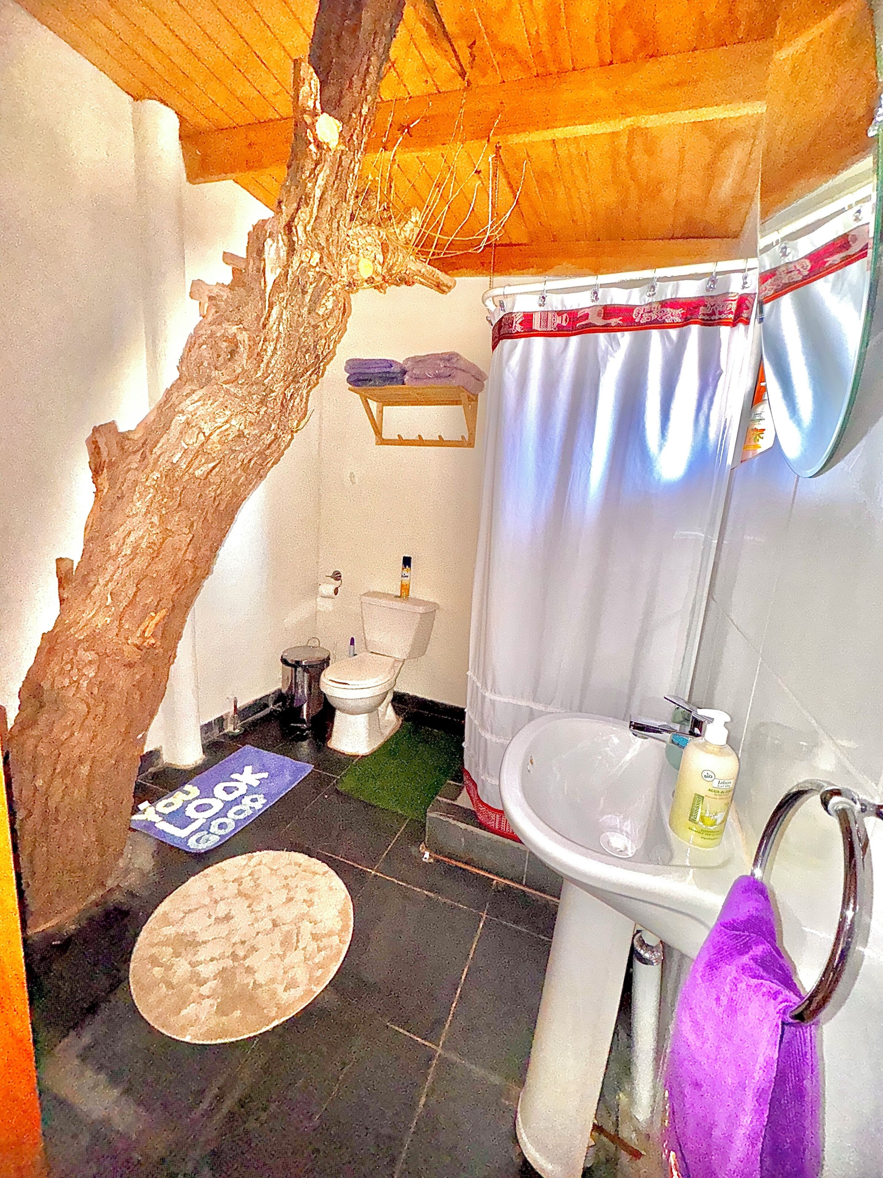 Baño