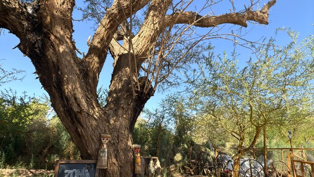 Ein rustikaler Außenbereich mit Holztischen und -stühlen unter einem großen Baum, ein Kreidetafel mit der Aufschrift Raucherbereich und verschiedene rustikale Dekorationen.