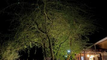 Vista desde la propiedad