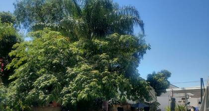 Cozy studio in fabulous Los Angeles with AC, WiFi