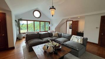 TV connectée, cheminée