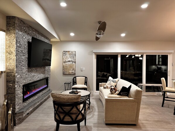 Smart TV, fireplace, books