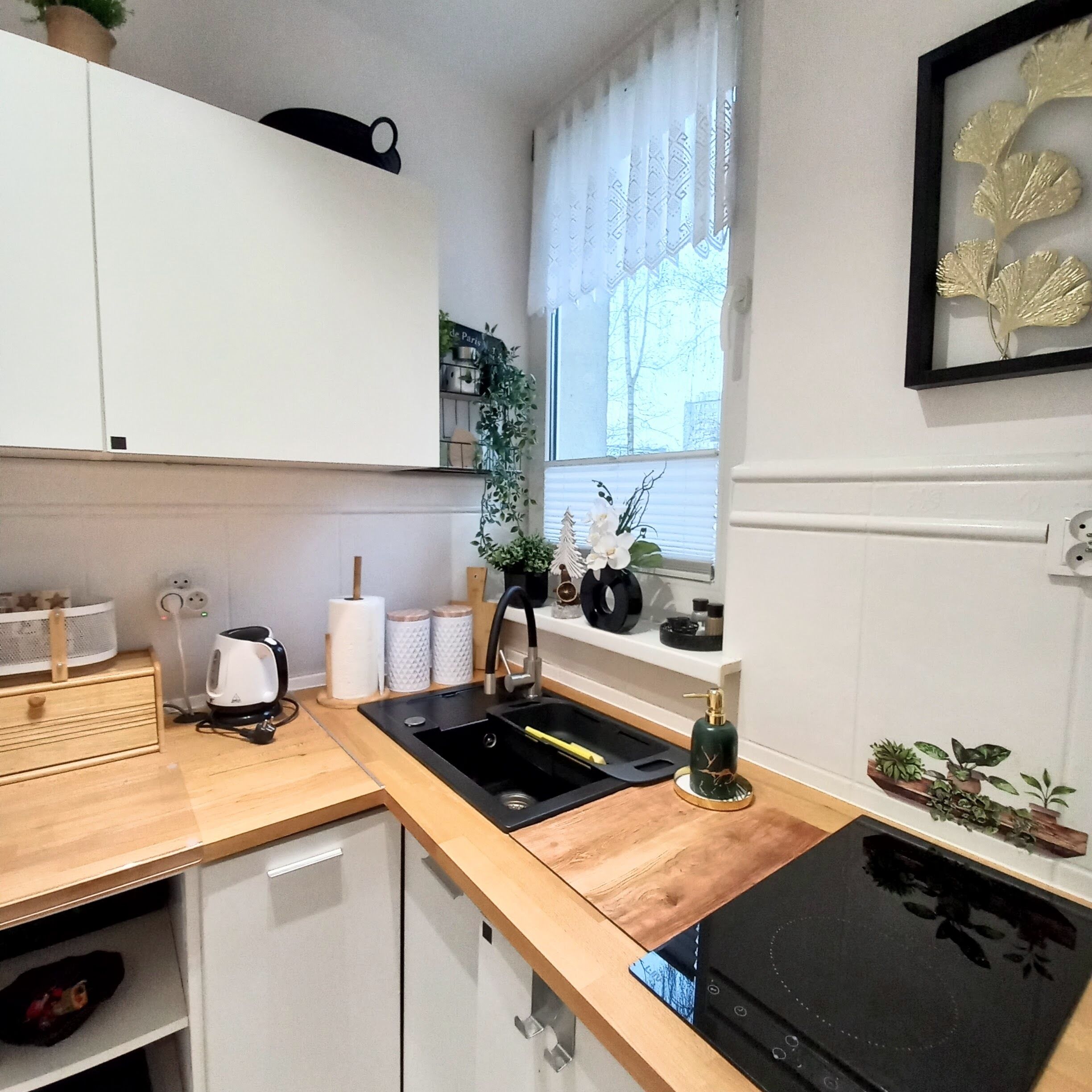 Fridge, microwave, stovetop, electric kettle