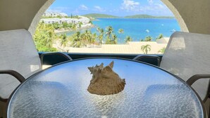 A view from a room with a round table and two chairs, overlooking a beach with palm trees and a clear blue sea.