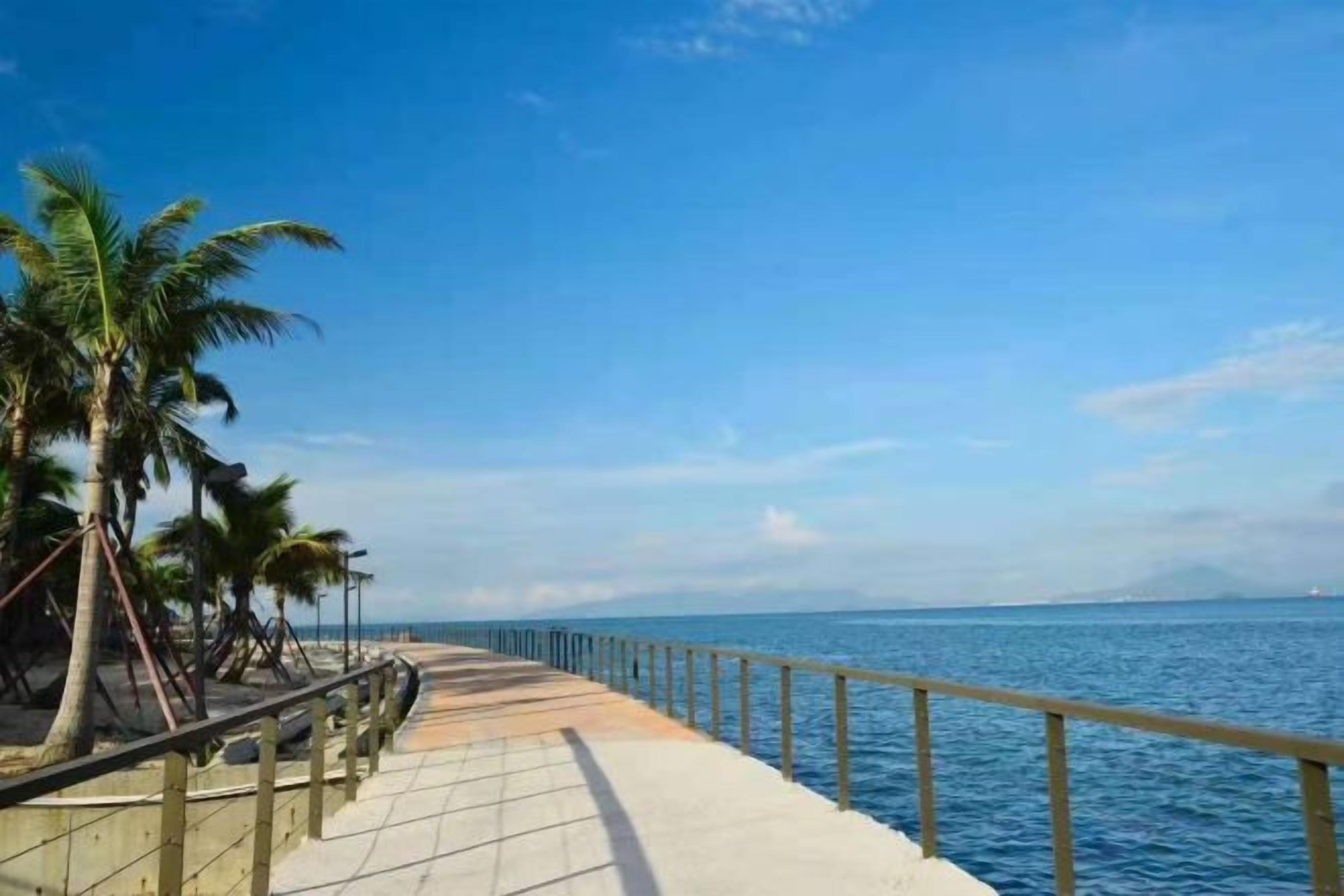 A coastal walkway with palm trees, a railing, and a view of the sea.