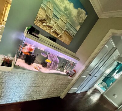 Charming 3-bedroom house with AC, fitness room in awesome Jonesboro