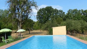 Une piscine rectangulaire dont le bord est recouvert de carreaux, entourée d’une pelouse et d’arbres.