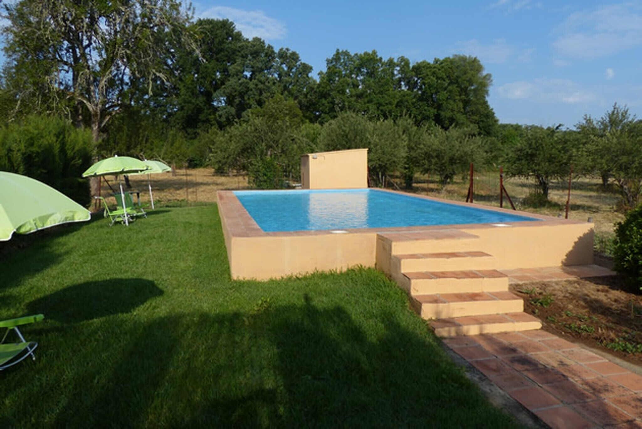 Una piscina rettangolare con bordo color beige, circondata da un prato erboso e alberi.