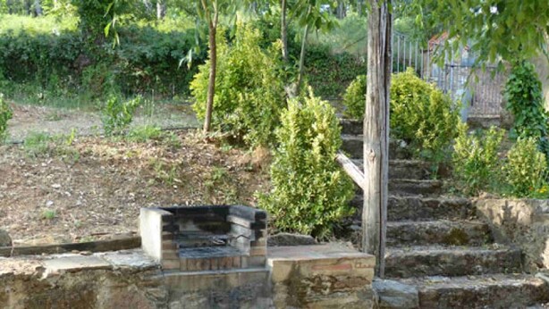 Un escalier en pierre mène à un banc en pierre doté d’une structure métallique, le tout étant entouré de verdure et d’arbres.