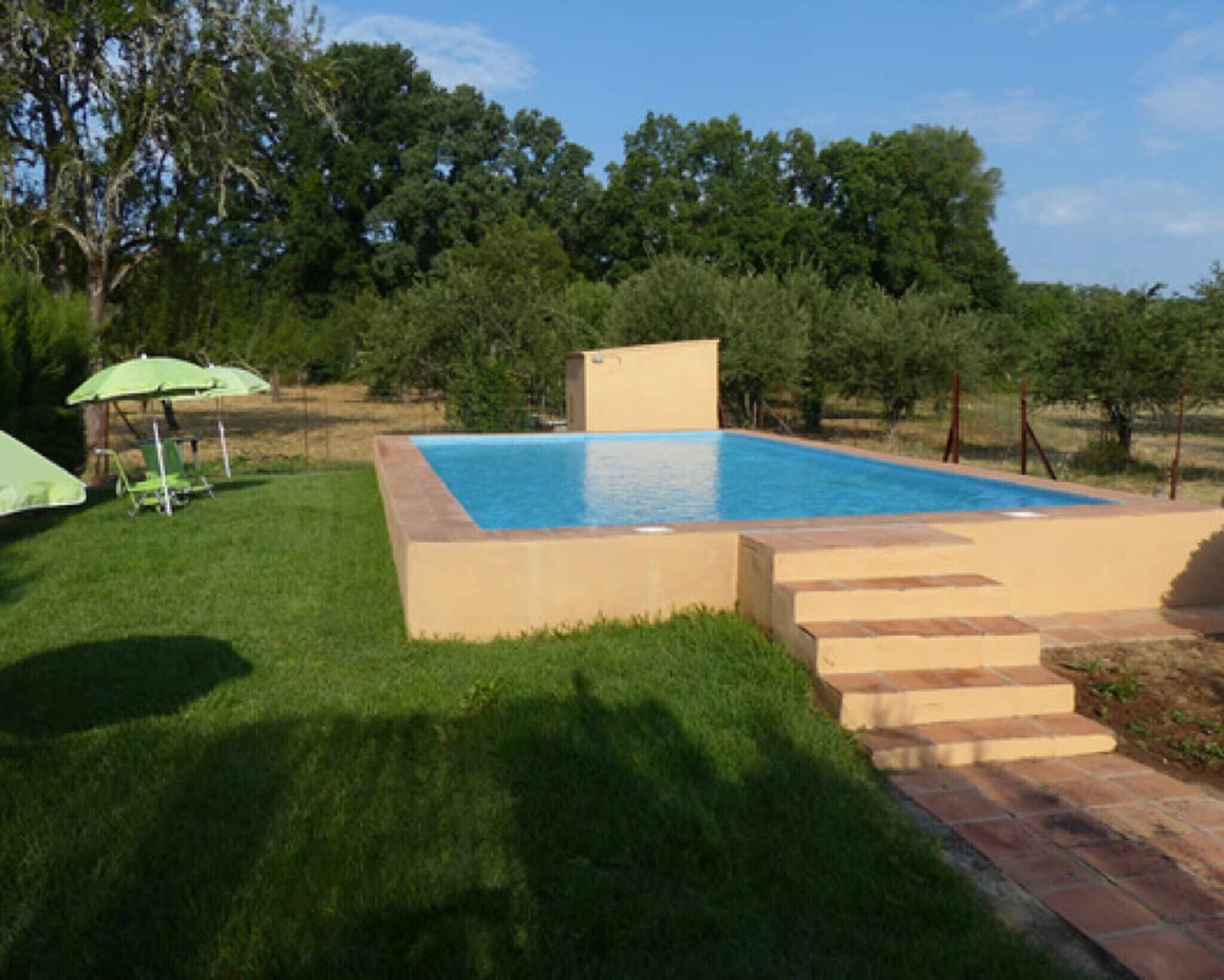Une piscine rectangulaire, bordée d’une terrasse carrelée et entourée de pelouse et d’arbres.