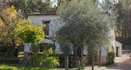 Country House 'Los Cascos' with Mountain View, Shared Pool and Air Conditioning