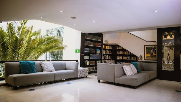 A modern lobby with two grey sofas, a large palm tree, and a bookshelf filled with books.