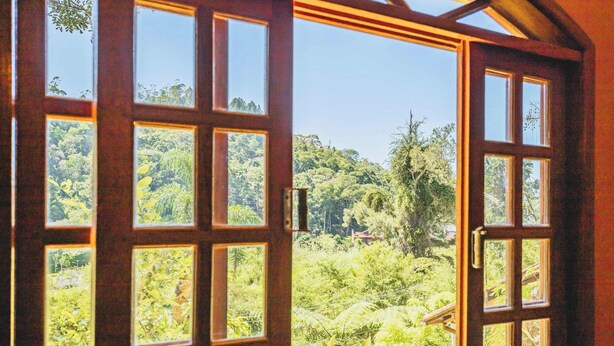 Una puerta de madera con varios paneles de vidrio, mostrando un paisaje verde exuberante con árboles y cielo despejado.