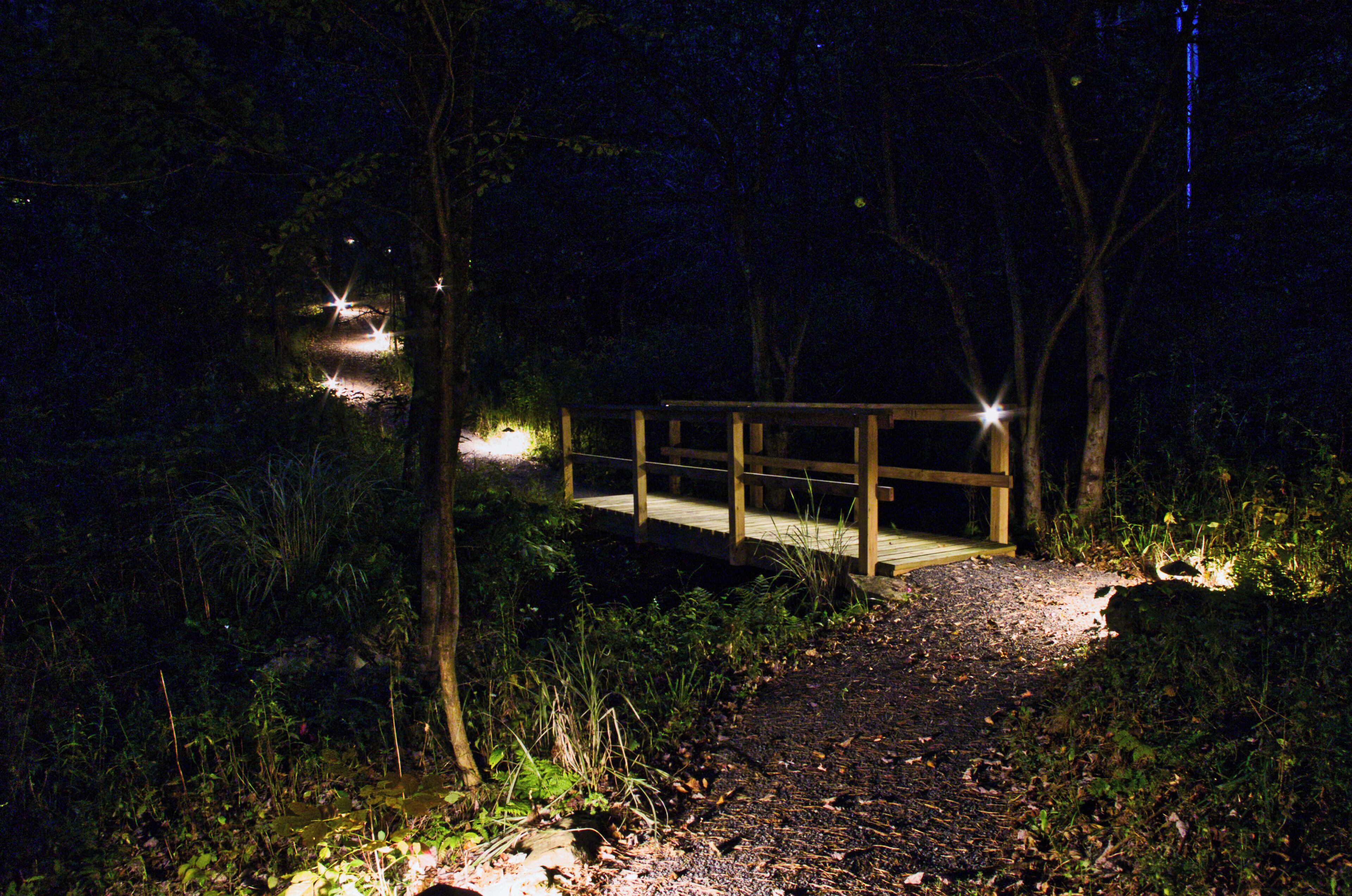 A wooden bridge over a gravel path in a forested area at night, illuminated by lights.