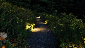 A forested path with a gravel surface, surrounded by dense vegetation and illuminated by sunlight filtering through the trees.