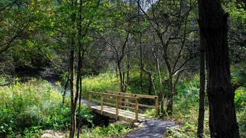 Un puente de madera en un área boscosa, con un camino que lo lleva a él.