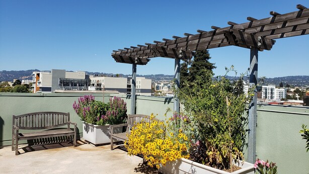 A rooftop patio with a wooden pergola, a bench, and potted plants. - Live Close to Everything! (Oakland)