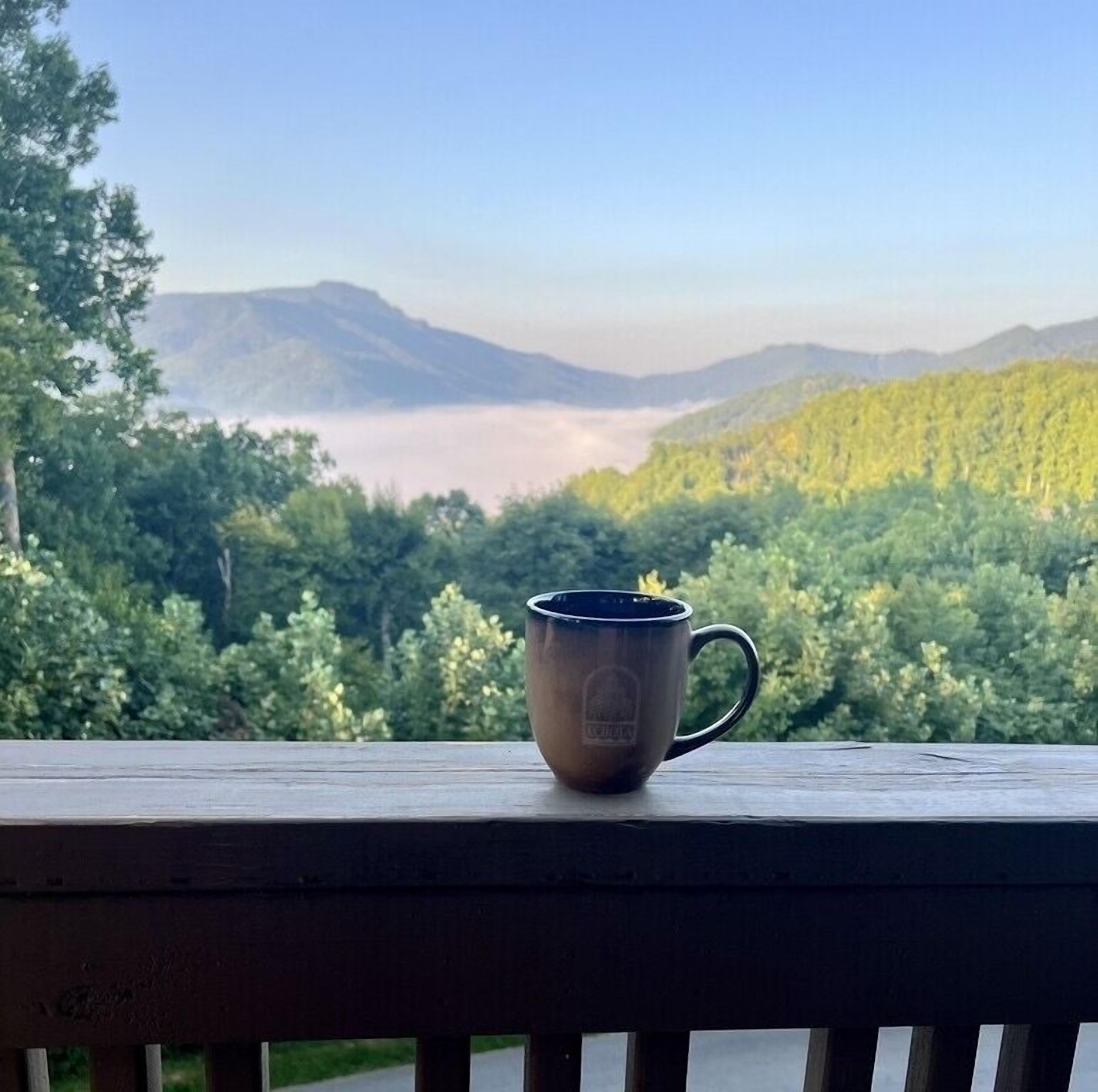 Eine Tasse auf einer Holzlege mit Blick auf einen Wald und Berge im Hintergrund.