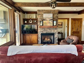 Smart TV, fireplace, DVD player, books