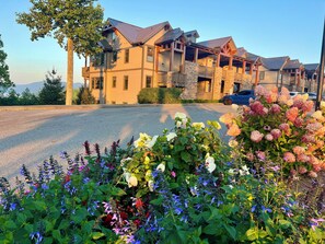 Exterior - $1 MM Grandfather View: No Stairs☆2 King Ensuites☆Seasonal Decor☆Gas FP☆Hot Tub (Boone)