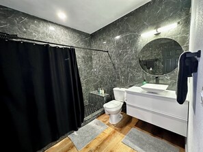 Regadera, secadora de cabello, toallas, jabón