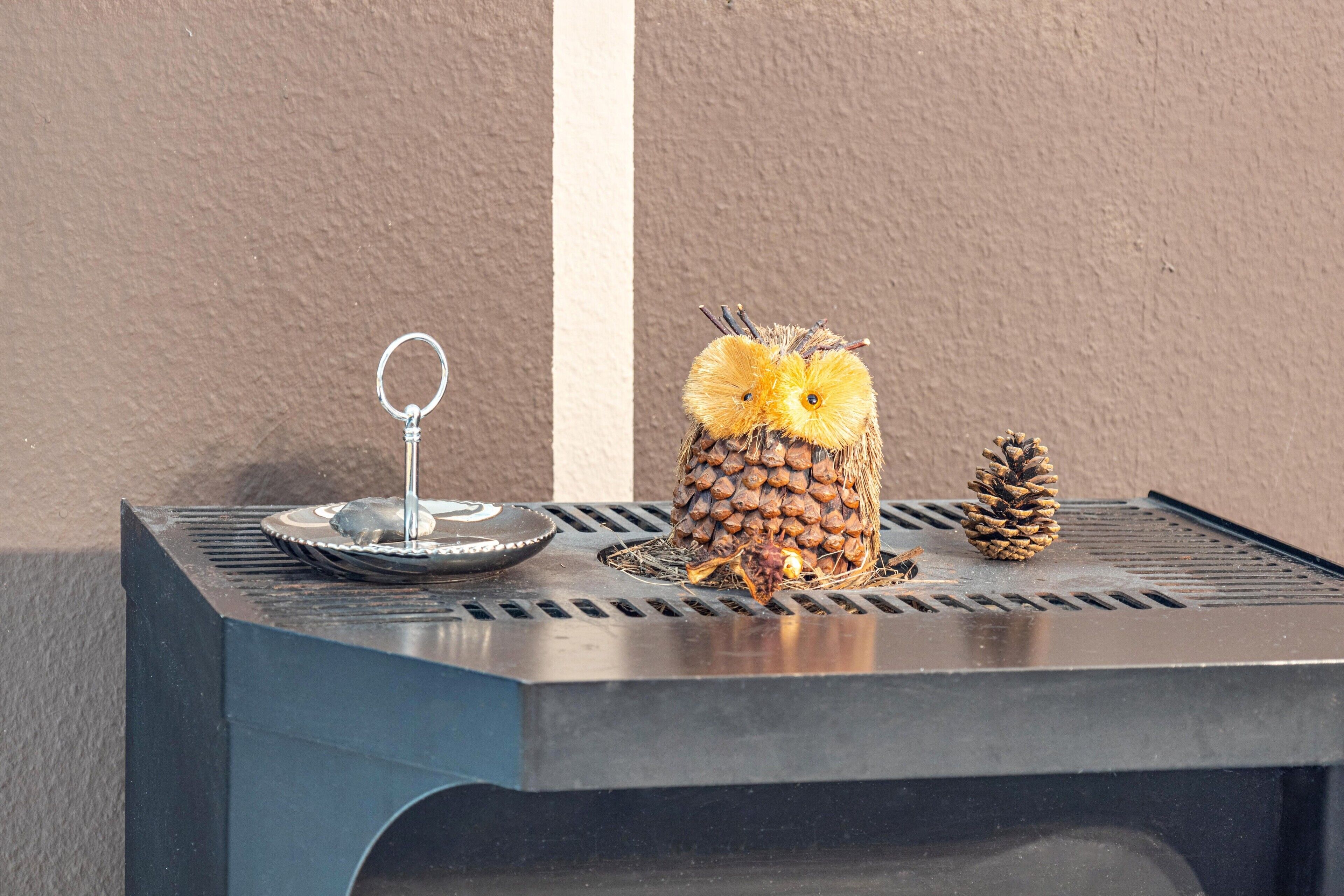 Une grille métallique ornée d’un élément décoratif représentant un hibou, une pomme de pin et un anneau métallique.