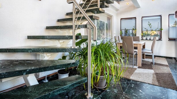 Un intérieur moderne avec un escalier, un coin repas et des plantes en pot.